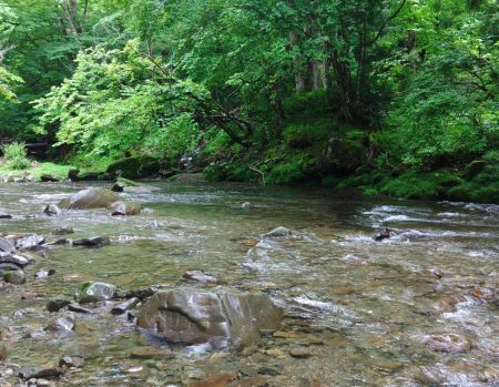 久しぶりのアマゴ釣り